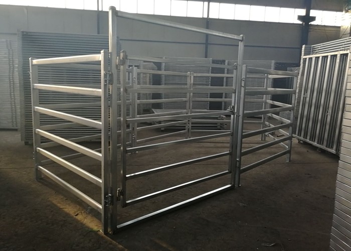 Australia Standard 6 Rail Steel Cattle Fence 40x80 Oval Rail Metal Livestock Fence Panels