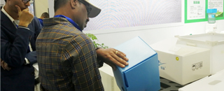 A4 Nuc Asparagus Corrugated Plastic Sheet Box With UV Coating