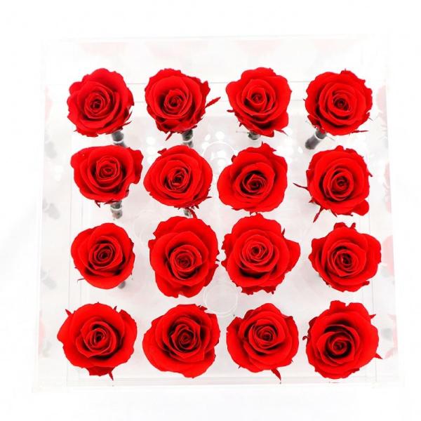 Customized Color Everlasting Rose , New Year Love Real Preserved Roses For