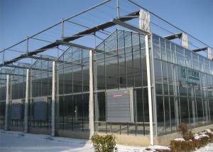 Wholesale Customized Size Clear Polycarbonate Greenhouse Durable Good Wind Resistance from china suppliers
