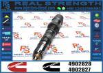 Parts QSK19 QSK23 QSK45 QSK60 PC1250-7 Fuel Injector 4088431 4076533 4902827