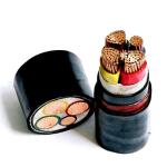 Low voltage 1 Core 5 Cores XLPE Electrical Cable 600V Steel Wire Armoured Xlpe