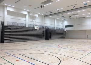 Wholesale Remote Wireless Control Retractable Audience Seating For Institute Sport Hall from china suppliers