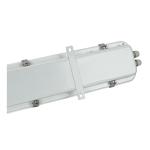 IP66 Explosion Proof Lamp