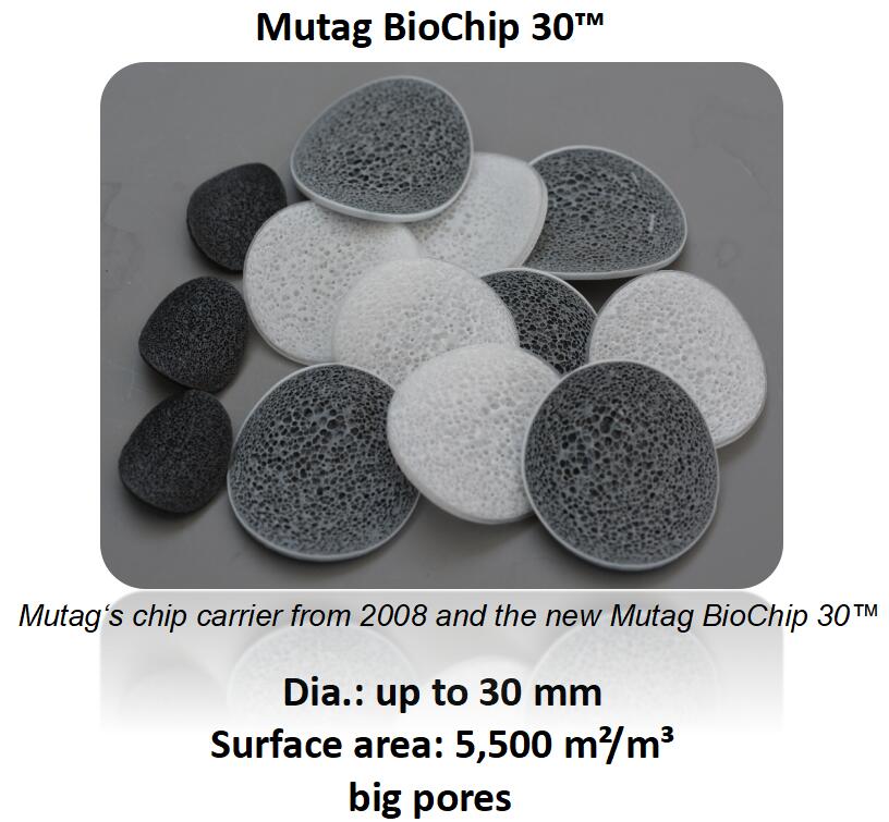 Dia 30mm Mutag Biochip For Improved Performance In Biofilm Reactors