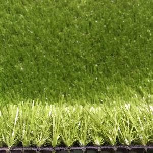 Wholesale Patio Residential Commercial Natural Grass Mat 9000D Or Customized from china suppliers