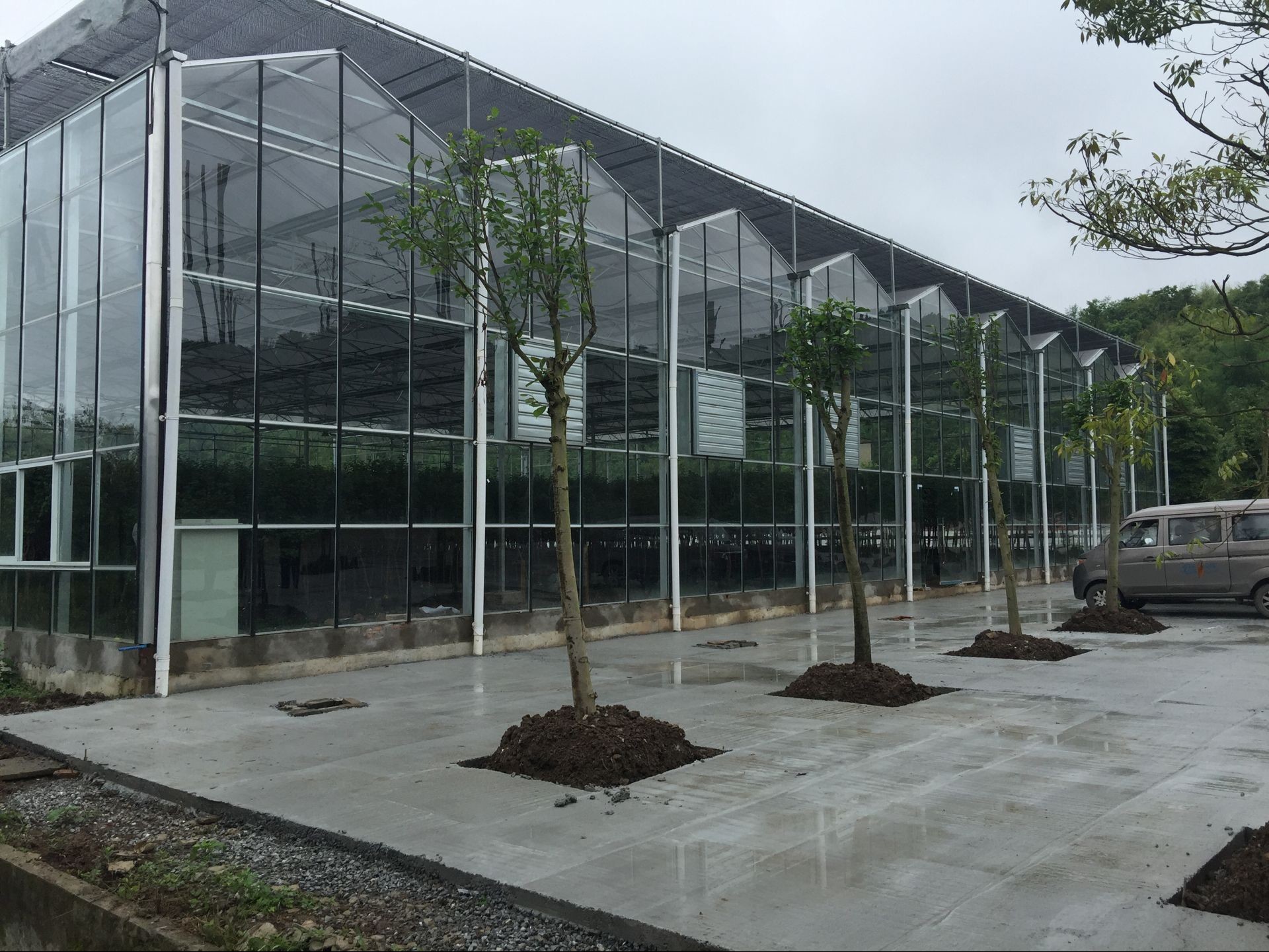 Beautiful Agricultural Glass Greenhouse , Commercial Greenhouse Structures Wind Load 120KM/H