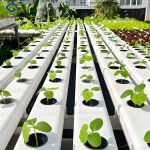 Wholesale Food Grade PVC Pipe NFT Channel Hydroponic Greenhouse Eco Friendly from china suppliers
