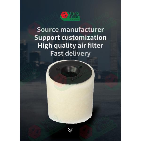 Car Air Filter Element Equipment Produce Car Air Filter Element OEM 6R0129620A