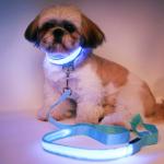 LED Reflective Dog Collar USB Rechargeable