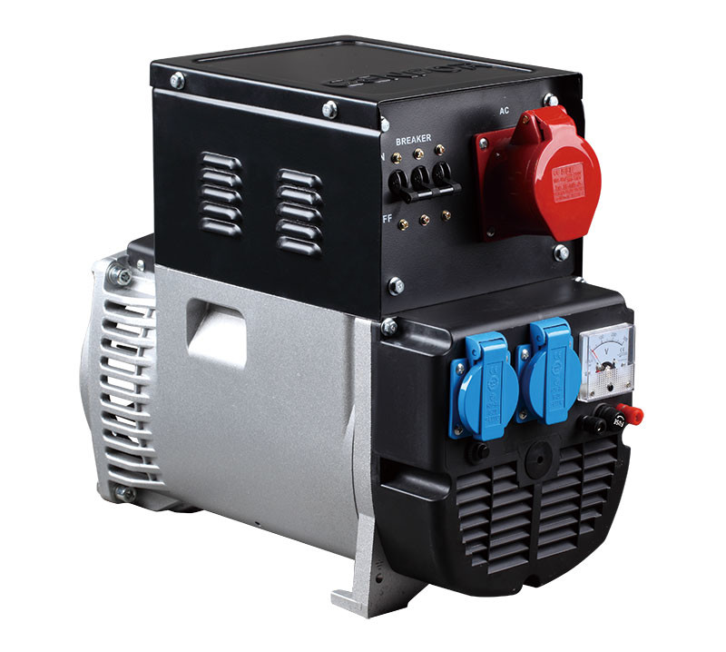 AC Double Bearing High Output Alternator 1.0KVA Rated Power Easy To Install