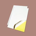 Strong Adhesive Glossy A4 200g Blank Sticker Paper
