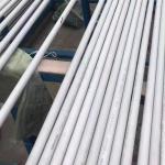 Hot Rolled Annealing Finishing 316L / 1.4404 / S31603 Stainless Steel Pipe /