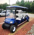 OEM New 6 Seaters Golf Cart 4 Wheels Certificated 60v 100ah Lead-Acid Battery