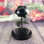 Beautiful Rose Flowers Everlasting Rose Preserved Flower Eternal Rose in Glass