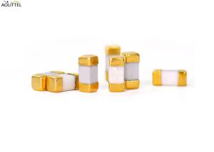 Wholesale 6.1x2.5x2.5mm Surface Mount Resettable Fuse , Smd Fuse 1a Ceramic Tube Body from china suppliers