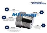 ASTM A105 F304H / 316H Round / Hex / Square Stainless Steel Head Plug