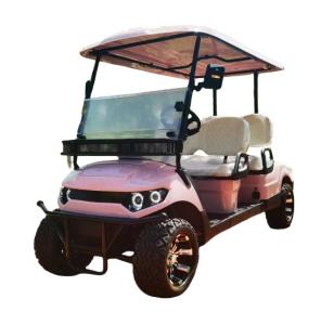 Wholesale Customized Electric Golf Car Sightseeing Vehicle Design New Modern For Outdoor from china suppliers