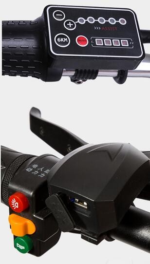 36V 500 Watt 20 Inch Fat Tire Electric Bike