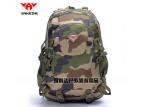 Waterproof Backpack Traveling Shoulders Bags Mass customization Outdoor Pack