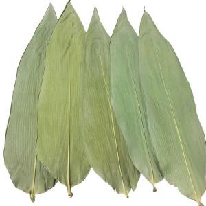 Wholesale Eco Friendly 33cm Fresh Bamboo Leaves For Sushi Food from china suppliers