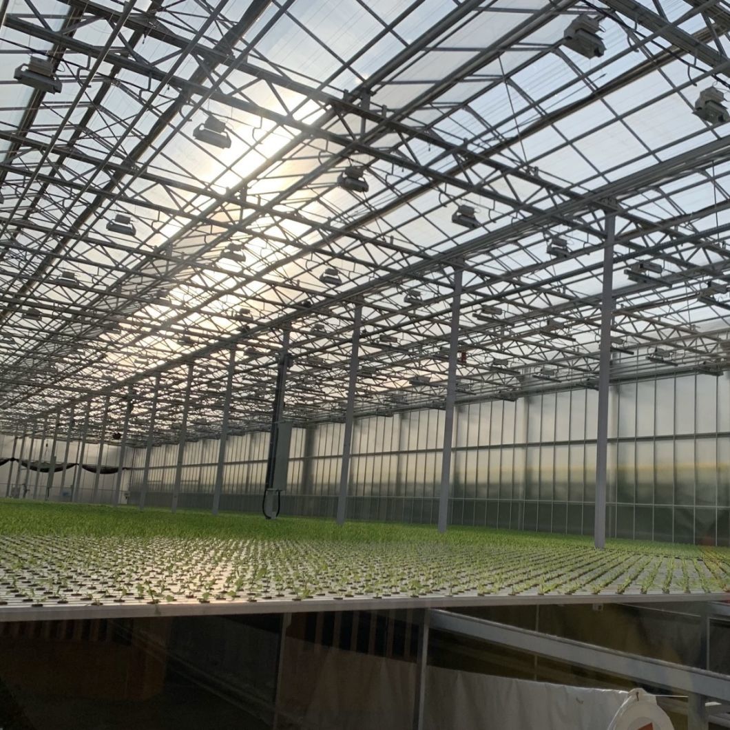 Chinese Origin Glass Greenhouse Canopy for Flowers
