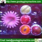EPE Fruit Tray