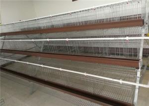 Wholesale Electric Galvanized 128 Chickens Poultry Cage For Laying Hens , Battery Caged Hens from china suppliers