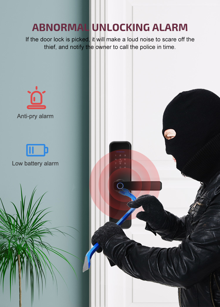 Fingerprint Cylinder Smart Wifi Door Lock Double Tuya Access Wifi Fingerprint Door Lock