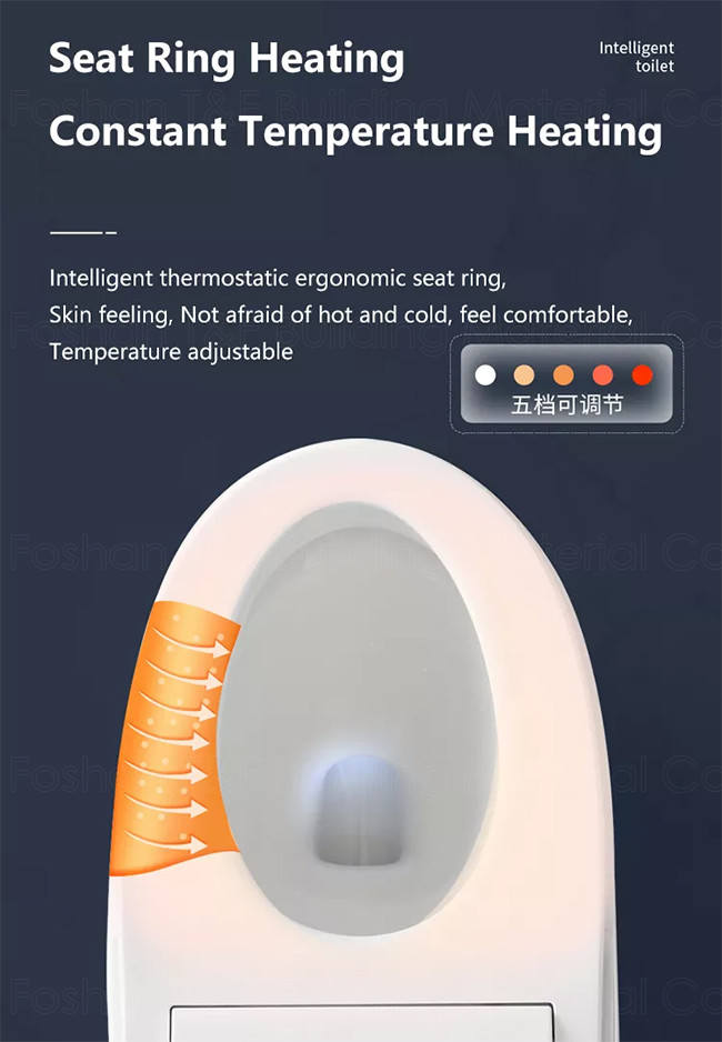 Floor Mounted Bathroom Toilet Bowl 220V / 110V Smart Bidet Toilet Sanitary