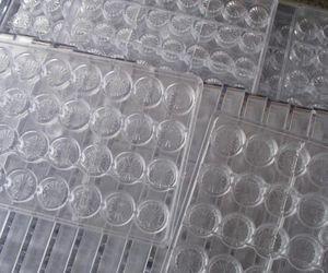 Wholesale Chocolate Polycarbonate moulds from china suppliers
