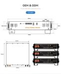48V 100Ah Rack Mounted Lithium Battery Black 5Kwh Industrial Residential