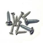 Black plated Philip's head PA Screws,stainess steel,iron,size and color as per