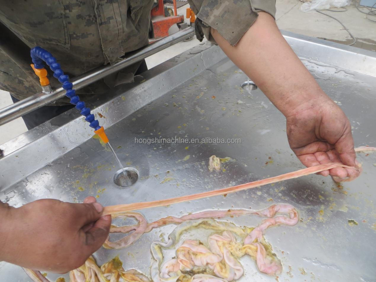 Stainless Steel Duck Intestine Cutting Washing Machine/Poultry Pork Small Intestine Chicken Cutter Machine