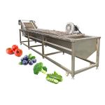 European Market Widely Used Vegetable Washing Machine Ultrasonic Cleaner with