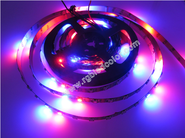 ws2812b black led black pcb digital rgb led strip