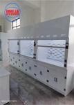 220V Chemical Fume Hood Lab Acid Fume Hood Wall Mounted with Horizontal