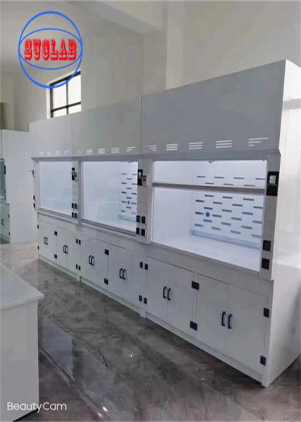 220V Chemical Fume Hood Lab Acid Fume Hood Wall Mounted with Horizontal