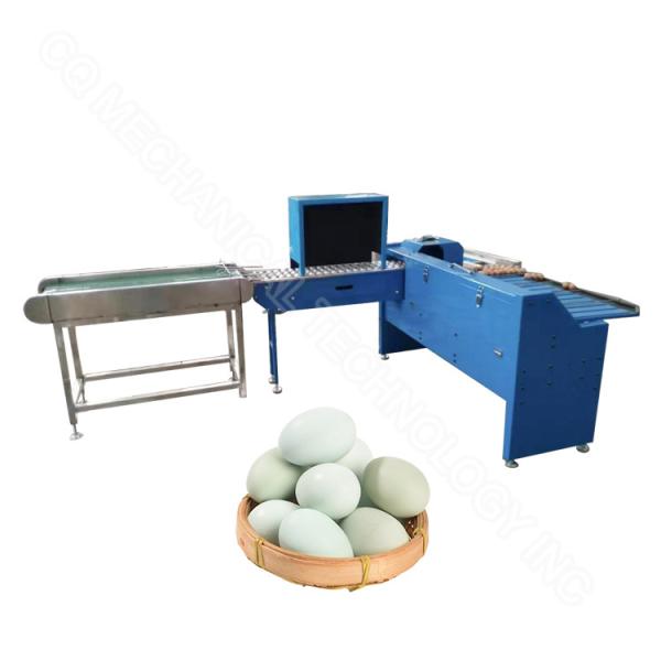 304 Stainless Steel Chicken Egg Grading Machine Price By Weight Egg Weight