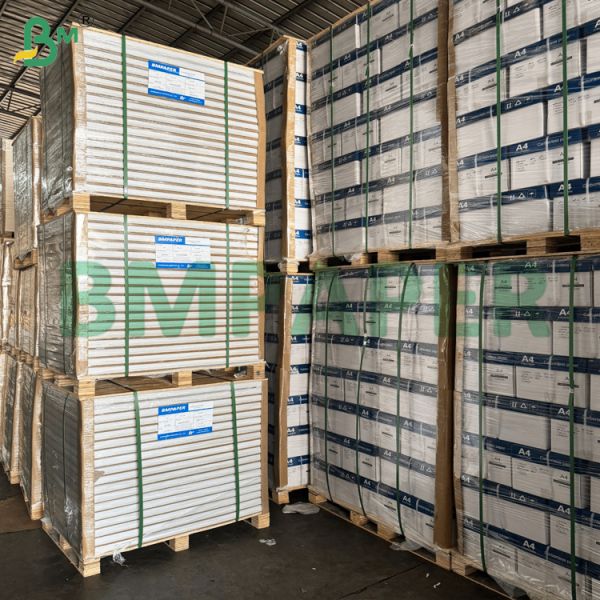 60gsm Document Duplicate Copy Paper Chemically Treated Copy Directly