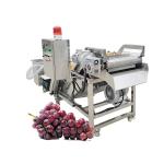 Fresh Dates Portable Washing Machine Clothes Japan