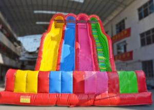 Wholesale Heavy Duty Blow Up Dry and Wet Slides For Children / Adults Eco Friendly from china suppliers