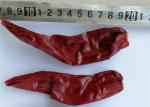 Salsas Dried Guajillo Chili Spicy Flavor 11cm Red Jinta Chilli Pepper