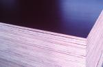 hot sale low price good quality 9mm 11mm 12mm 15mm 18mm film faced plywood in