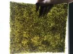 Delicious Roasted Seaweed Nori / Healthy Wasabi Seaweed Chips HACCP FDA Listed