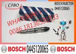 Common Rail Fuel Injector Diesel Injectors 04290988 0986435559 0445120065