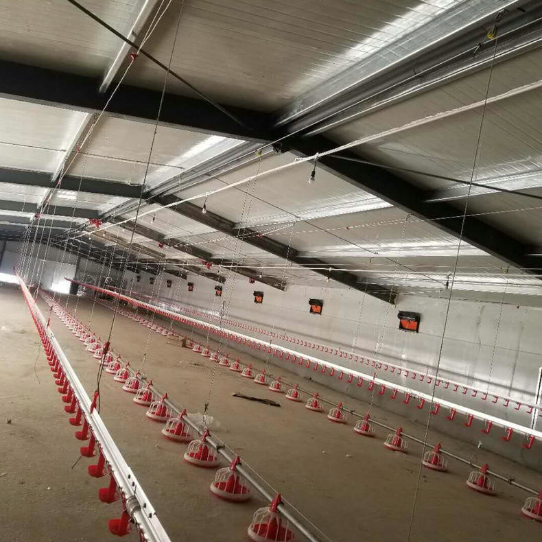 Chicken 15 Nipples/3m Automatic Drinker Cup System
