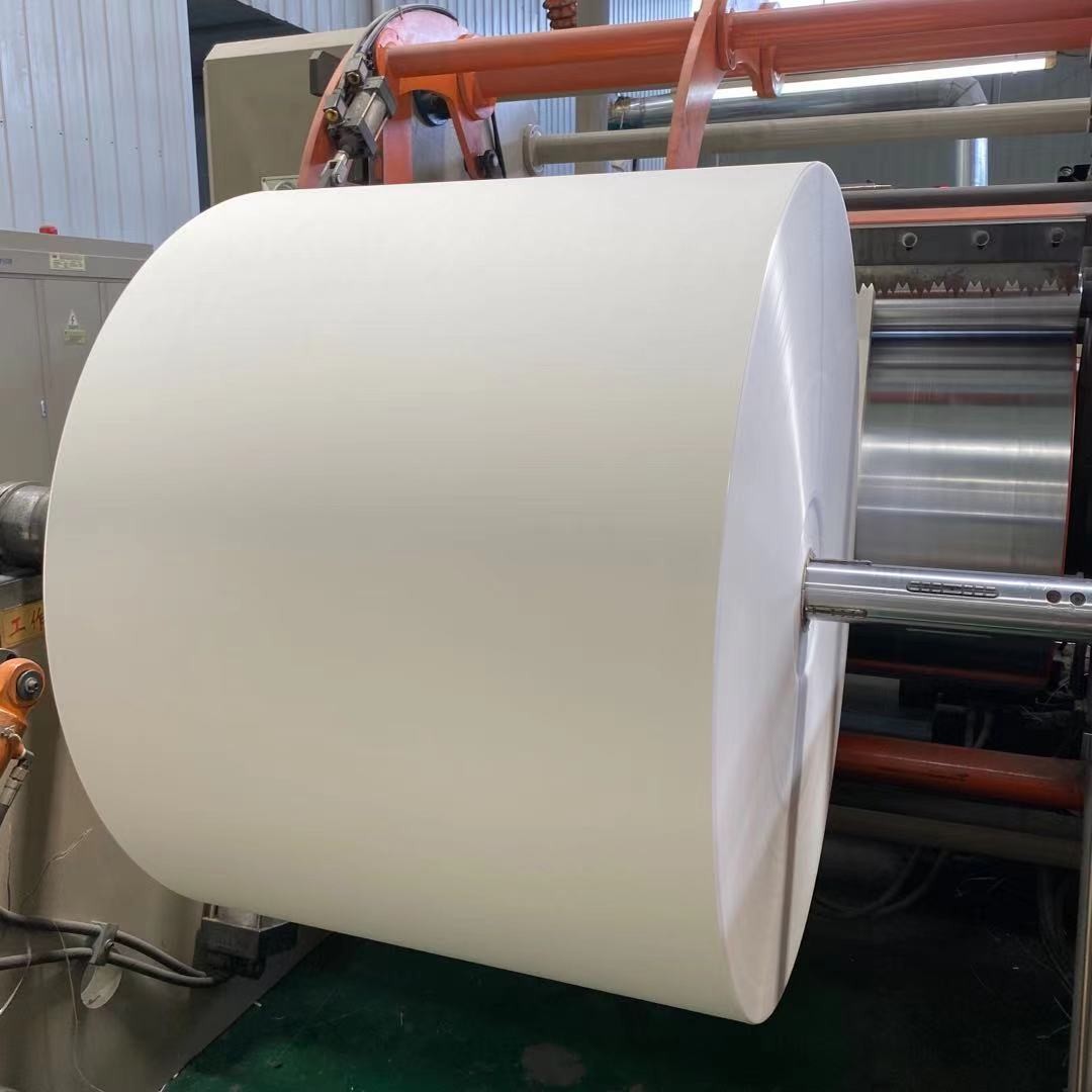 Wooden Pulp 170gsm Food Grade Double PE Coated Paper Roll For Hot Beverage