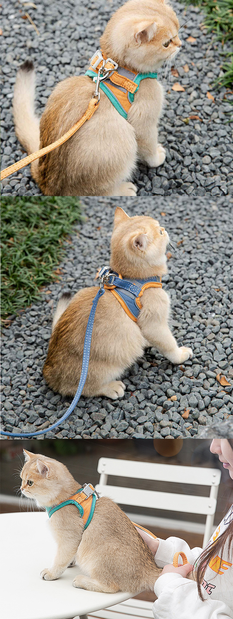 Lovely Adjustable Pet Harness Soft Nylon Mesh Reflective Cat Harness Leash Set