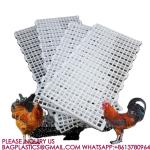 Poultry Husbandry Animal Plastic Flooring Poultry Poultry Plastic Slat Plastic
